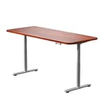 โต๊ะปรับระดับไฟฟ้า LIV Standing Desk รุ่น Pro Gen II