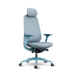 เก้าอี้สุขภาพ LIV Bliss Ergonomic Chair