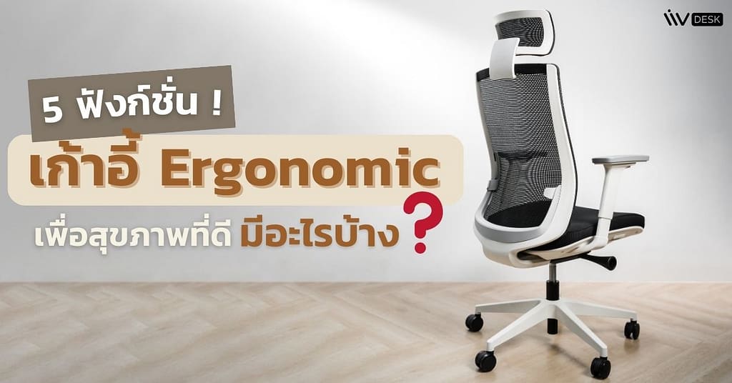 5 ฟังก์ชั่น เก้าอี้ Ergonomic เพื่อสุขภาพที่ดี มีอะไรบ้าง?